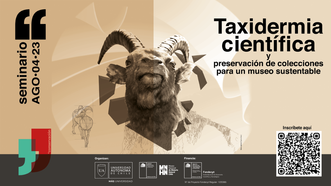 seminario taxidermia seminario taxidermia