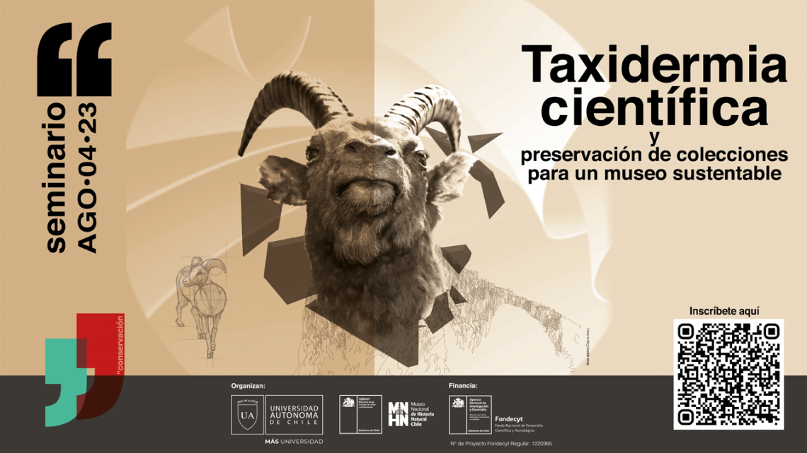 seminario taxidermia