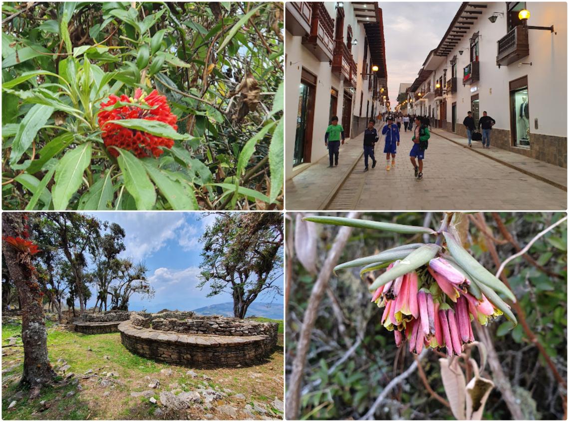 Chachapoyas