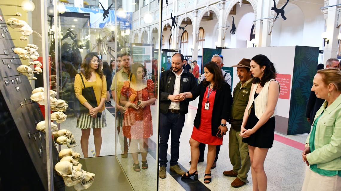Inauguración Primates MNHN Inauguración Primates MNHN