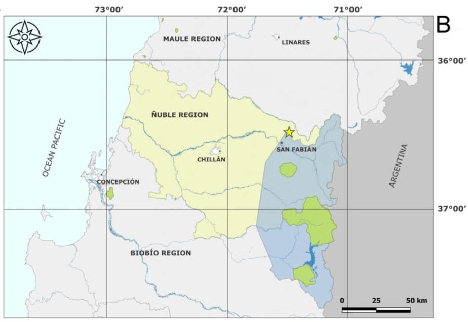 Figura 4. Mapa de distribución de B. granitica, la estrella amarilla indica su ubicación. El color azul indica la Reserva de la Biósfera y el color verde indica las áreas públicas protegidas. Figura 4. Mapa de distribución de B. granitica, la estrella amarilla indica su ubicación. El color azul indica la Reserva de la Biósfera y el color verde indica las áreas públicas protegidas.
