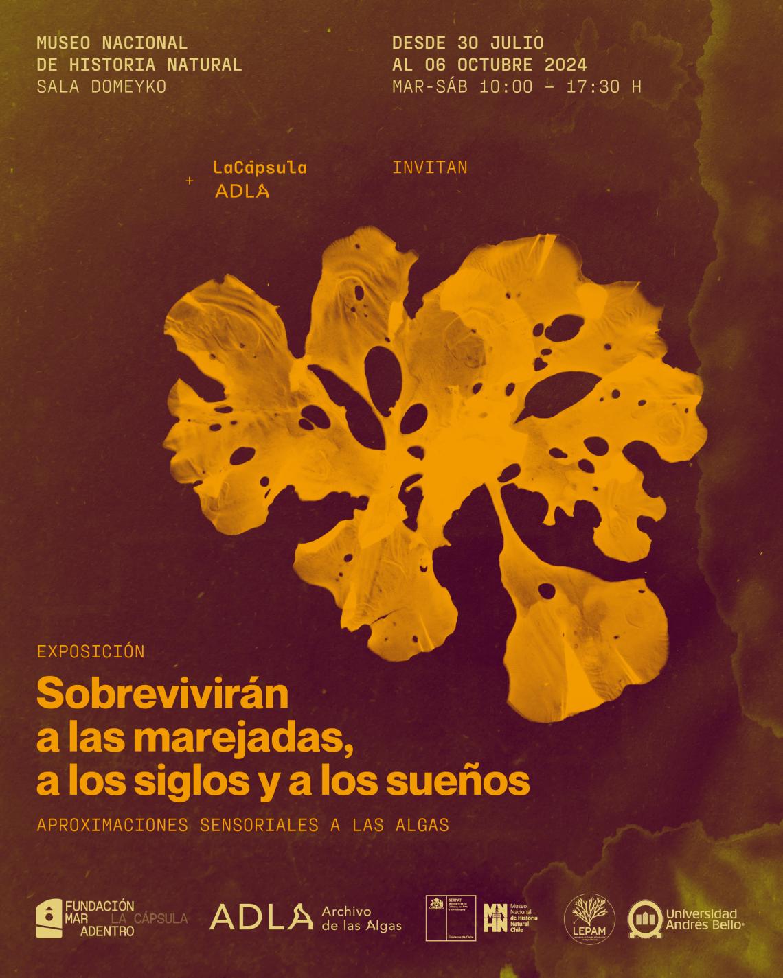 Afiche algas Afiche Algas