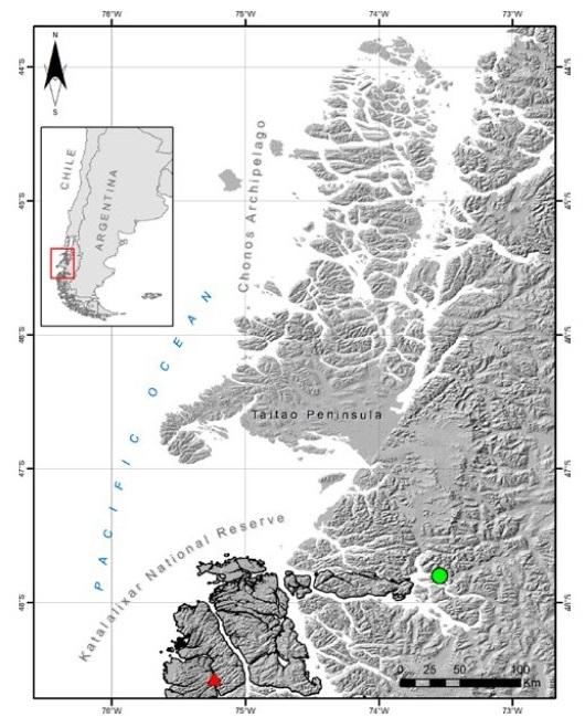 Fig. 3. Mapa de los archipiélagos patagónicos de la Región de Aysén mostrando el Archipiélago de Chonos, la Reserva Nacional Katalalixar (contorno negro) y la nueva localidad (triángulo rojo). El pueblo más cercano, Caleta Tortel, está representado por un punto verde. Fig. 3. Mapa de los archipiélagos patagónicos de la Región de Aysén mostrando el Archipiélago de Chonos, la Reserva Nacional Katalalixar (contorno negro) y la nueva localidad (triángulo rojo). El pueblo más cercano, Caleta Tortel, está representado por