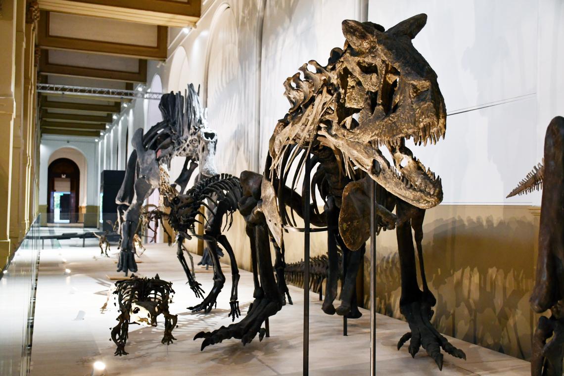 Carno Carno