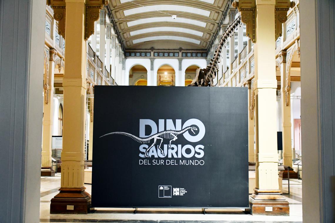 dinos dinos