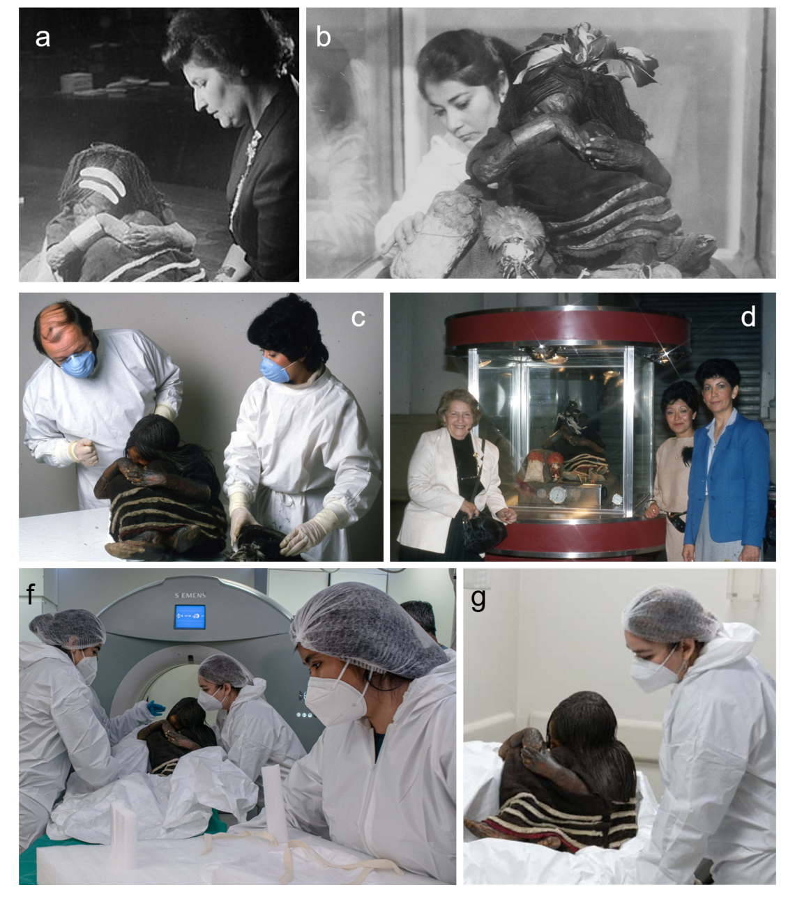 Figura a. Grete Mostny; b. Nieves Acevedo; c. Patrick Horne y Silvia Quevedo; d. De derecha a izquierda: Grete Mostny, Silvia Quevedo y Eliana Durán; e. De derecha a izquierda: Evelyn Sepúlveda, Verónica Silva y Ayelen Tonko; f. Verónica Silva. Figura a. Grete Mostny; b. Nieves Acevedo; c. Patrick Horne y Silvia Quevedo; d. De derecha a izquierda: Grete Mostny, Silvia Quevedo y Eliana Durán; e. De derecha a izquierda: Evelyn Sepúlveda, Verónica Silva y Ayelen Tonko; f. Verónica Silva.