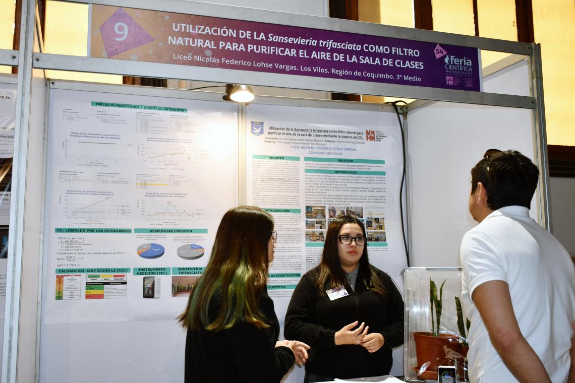 Proyecto "Utilización de la Sansevieria trifasciata como filtro natural para purificar el aire de la sala de clases mediante la captura de Co2", del Liceo Nicolás Federico Lohse Vargas, de Los Vilos. Proyecto "Utilización de la Sansevieria trifasciata como filtro natural para purificar el aire de la sala de clases mediante la captura de Co2", del Liceo Nicolás Federico Lohse Vargas, de Los Vilos.
