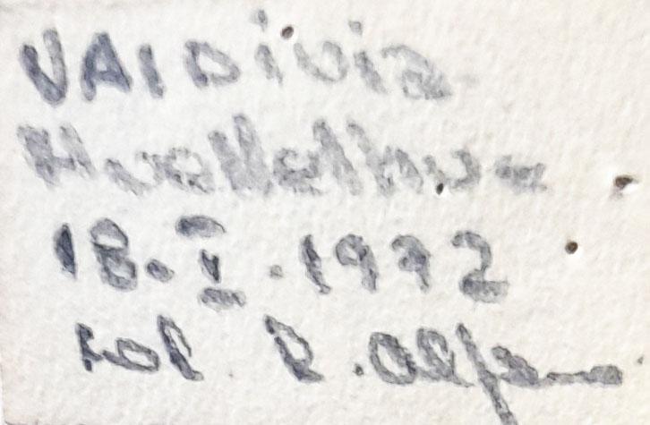 Etiqueta manuscrita de Luis W. Alfaro S.