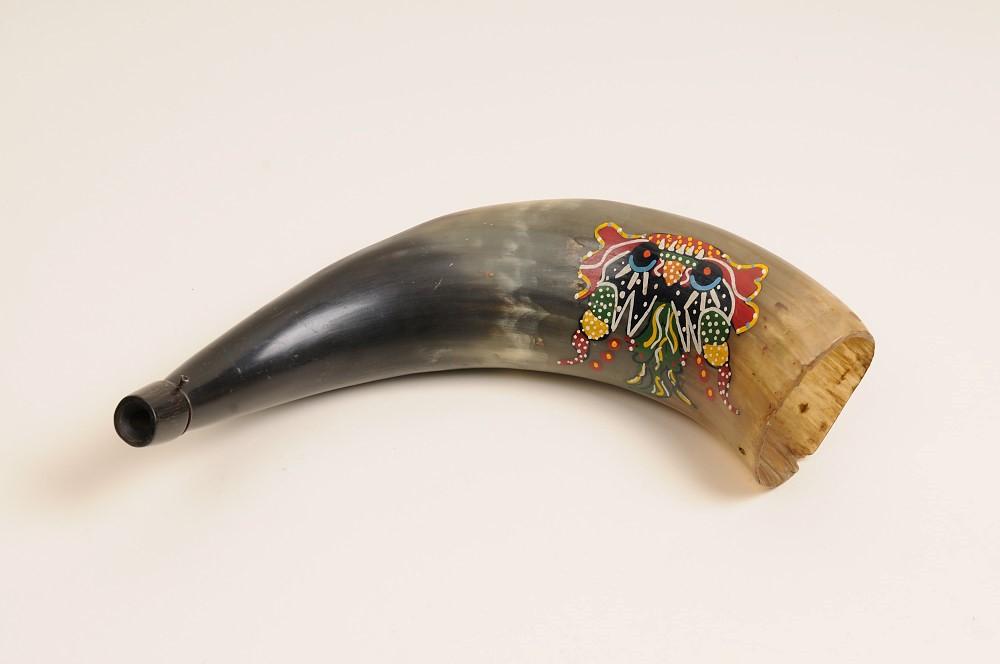 Fig. 1: Putuputu de cacho de vacuno (Archivo fotográfico MNHN, Fotografía: Felipe Infante P., octubre de 2014).