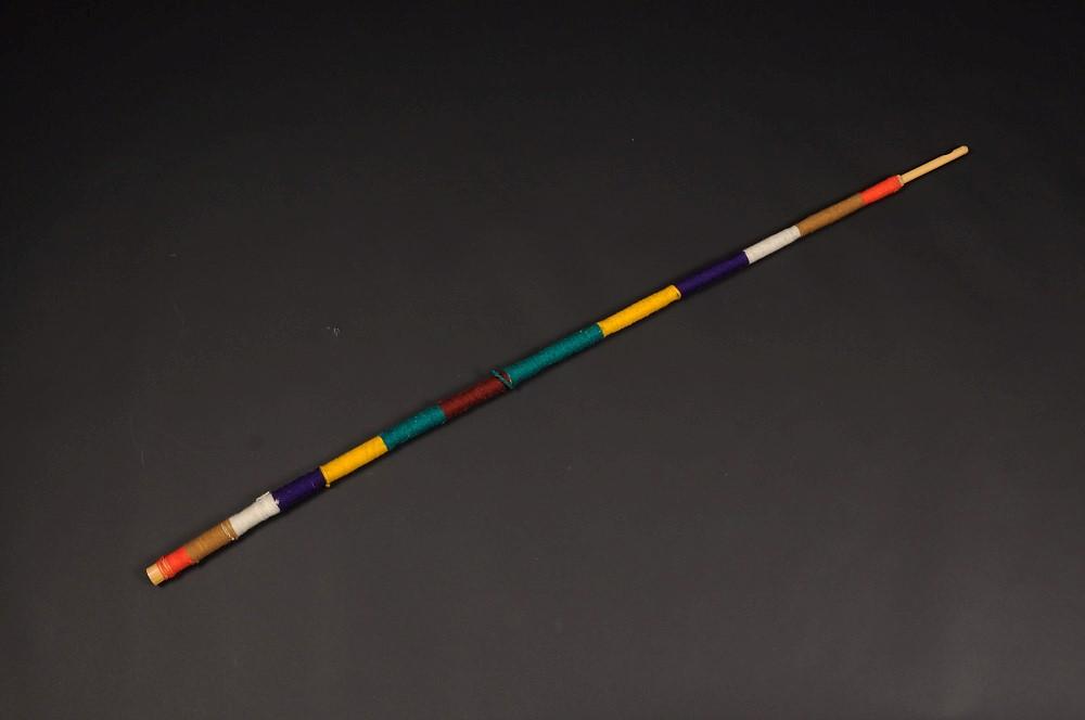 Fig. 3: Clarín atacameño (Archivo fotográfico MNHN, Fotografía: Felipe Infante P., octubre de 2014).