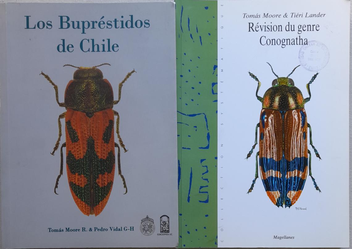 Libros de Tomás Moore