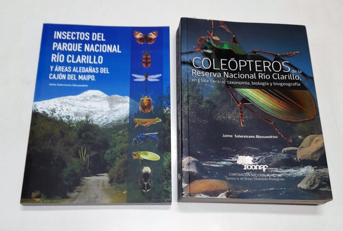 Libros publicados por el Prof. Solervicens