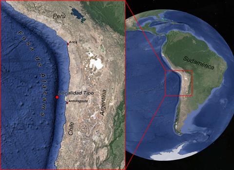 Figura 2: Ubicación de la Fosa de Atacama y de la localidad tipo donde se colectó el holotipo hembra (MNHNCL AMP-15816).