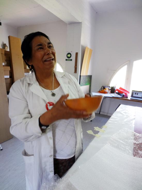 Victoria Castro en el Área de Antropología del MNHN en 2015. Victoria Castro en el Área de Antropología del MNHN en 2015.