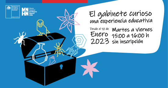 Gabinete Curioso Gabinete Curioso